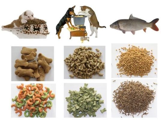 Extrusora de alimentação para peixes de 3000 kg, fabricada em aço inoxidável 201 304 para conversão avançada de alimentos para peixes