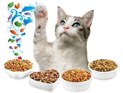 1000 kg/h Capacidade Linha de produção automática versátil de alimentos para cães para soluções versáteis