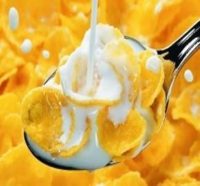 Componentes principais Máquina de fabricação de cereais de café da manhã de milho