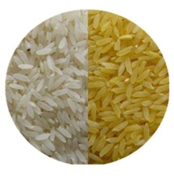 Máquina de processamento de arroz de duplo parafuso de alta automação 100 kg/h-900 kg/h Condição