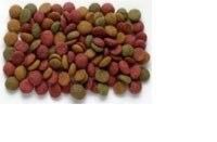 Sinking Pet Food Fish Feed Pellet Making Twin Screw Extruder Machine para a fábrica de pellets