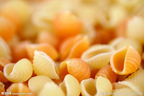Máquina de espaguete de macarrão de aço inoxidável para produção em larga escala