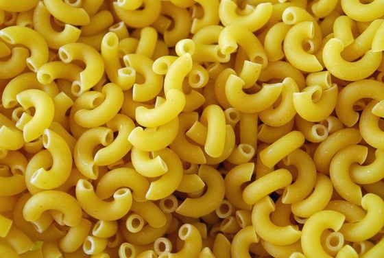 Máquina de fabricação de macarrão de aço inoxidável para satisfazer as necessidades dos clientes