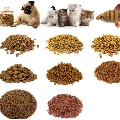 Siemens Condição do motor principal Máquina de fabricação de alimentos secos para cães para linha de produção de alimentos para animais de estimação