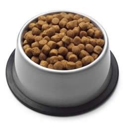 Equipamento de extrusão de alimentos para animais de estimação multifuntcional de casca seca para plantas de alimentos e bebidas