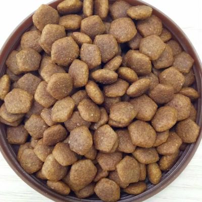 Equipamento de extrusão de pellets de alimentos para cães de pequeno porte com tecnologia Delta Inverter